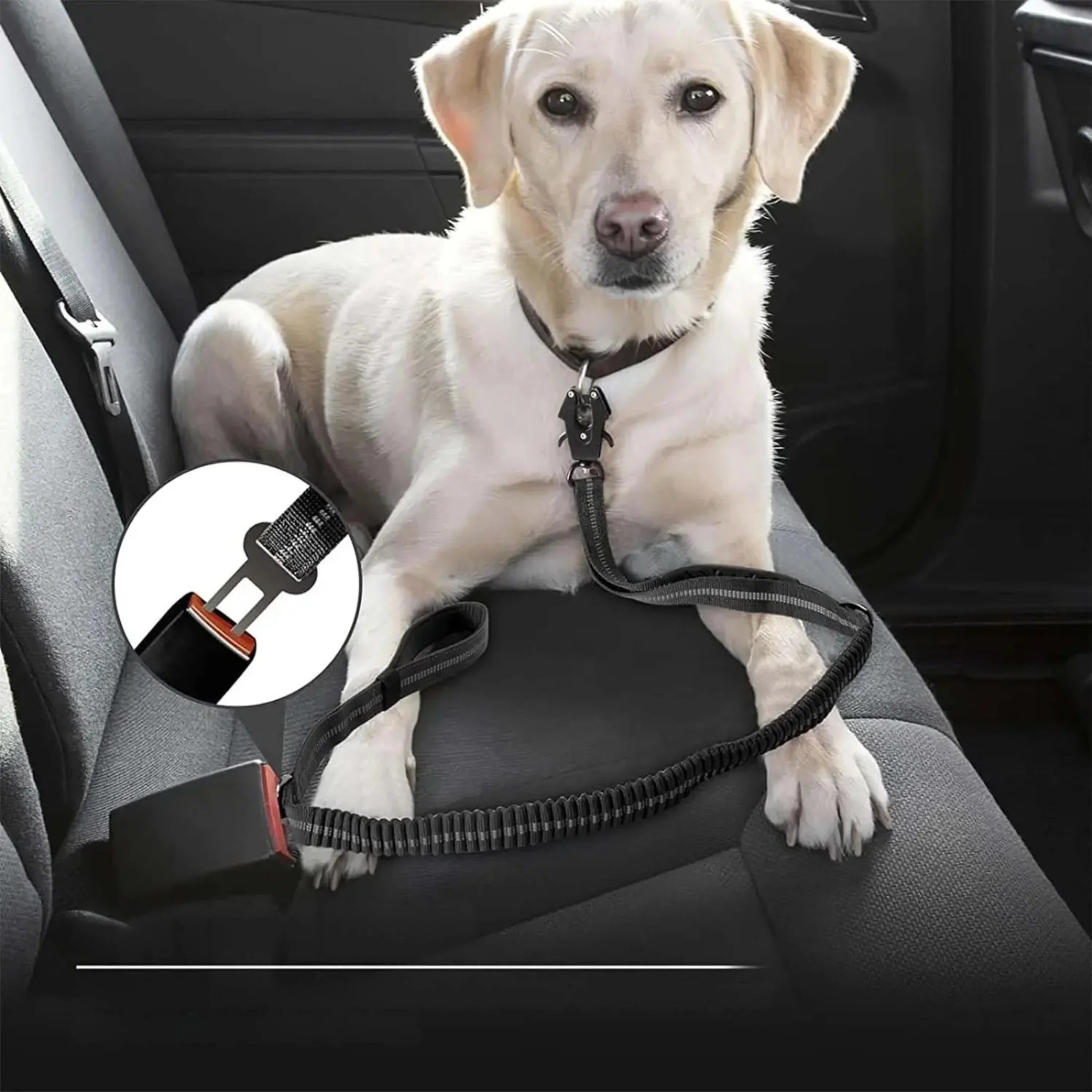 Heavy-Duty Tactical Dog Leash