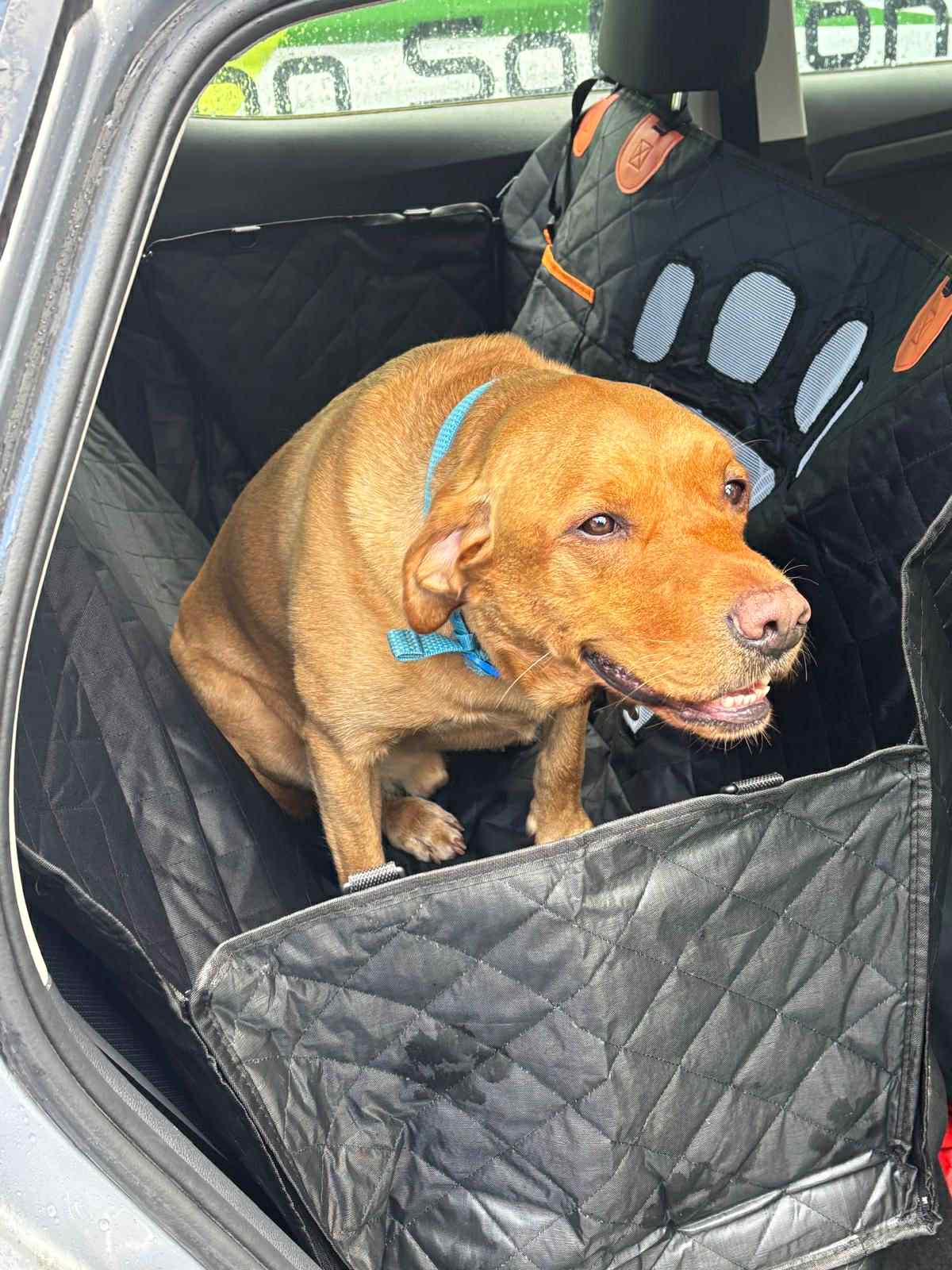 Universal Car Seat Protector